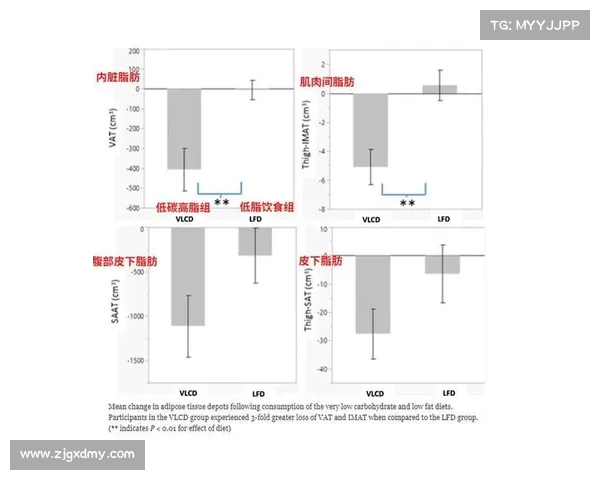 网球比赛赛道维护管理与优化策略探讨及其对赛事影响分析